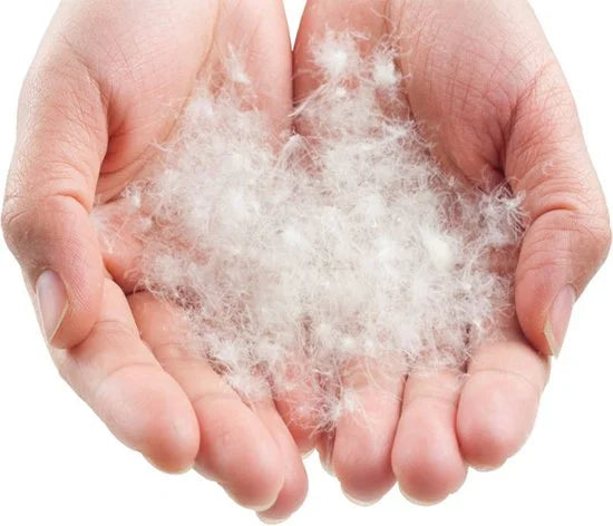 LOWLAND OUTDOOR Donzen slaapzak - NC 1 - 200 x 80 cm - 0°C - Nylon/Katoen