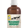 VITALstyle Melissengeist Atemspray 20 ml – für einen frischen Start beim Atmen bei Jungtieren