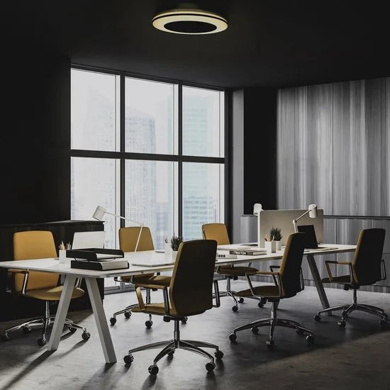 Proventa 3D Air Plafondventilator met verlichting 50 cm