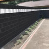 Gardlov Vlechtband Hekwerk - 19 cm x 35 m - UV-bestendig - Zwart