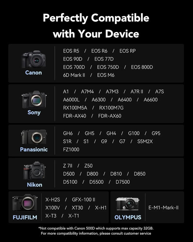 256GB SD Card SILVER, Up to 205MB/s Read, 140MB/s Write