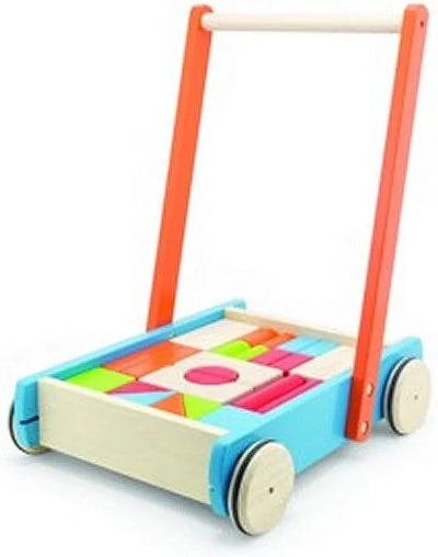 Pintoy Babywalker met blokken