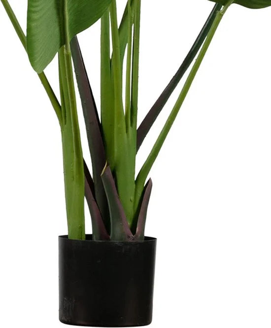 WOOOD Strelitzia Kunstplant - Groen - 96x164x63