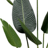 WOOOD Strelitzia Kunstplant - Groen - 96x164x63