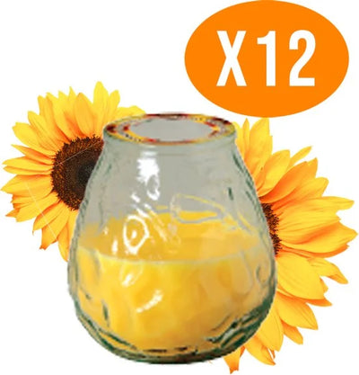 Citronella Kaars in Glas - 12 Geurkaarsen - Voordeelbundel - Buitenkaars - Made in Italy