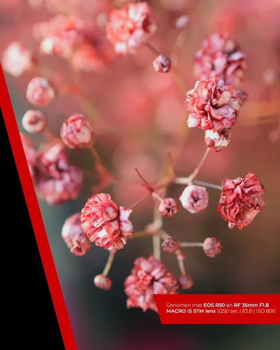 Canon EOS R50 - Systeemcamera - Body