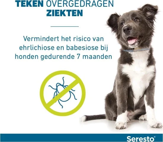Seresto Teken- En Vlooienband Large - Anti tekenmiddel - per stuk > 8 Kg