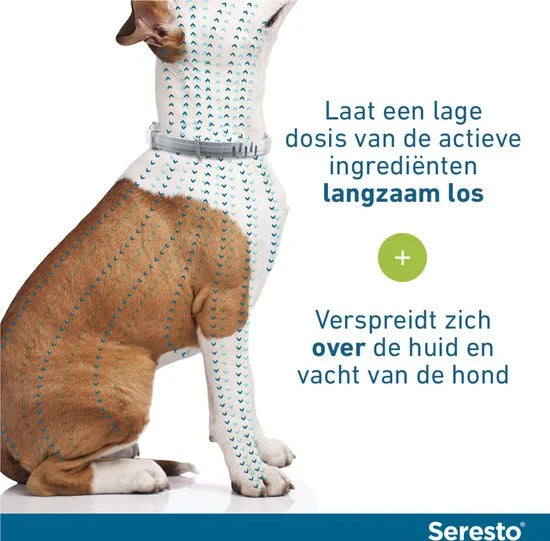 Seresto Teken- En Vlooienband Large - Anti tekenmiddel - per stuk > 8 Kg