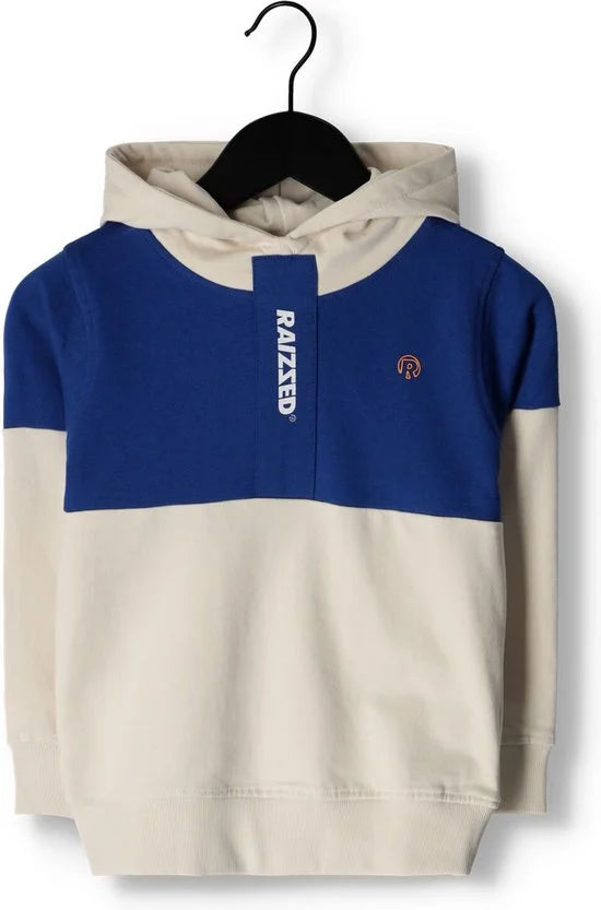 Raizzed WALDRON Jongens Trui - Offwhite grey - Maat 164