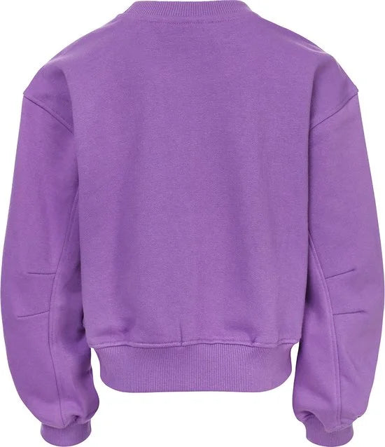 Looxs Revolution 2501-5318 Truien & Vesten Meisjes - Sweater - Hoodie - Vest- Paars - Maat 128