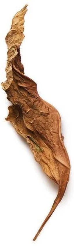 Giorgio Armani Acqua di Gio Profumo 125 ml Eau de Parfum - Herenparfum