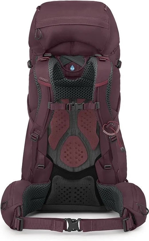 Osprey Kyte 58 Elderberry Purple WXS/S