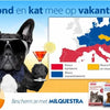 Beaphar Milquestra - Kat 2 Tot 12 kg - 2 tabletten