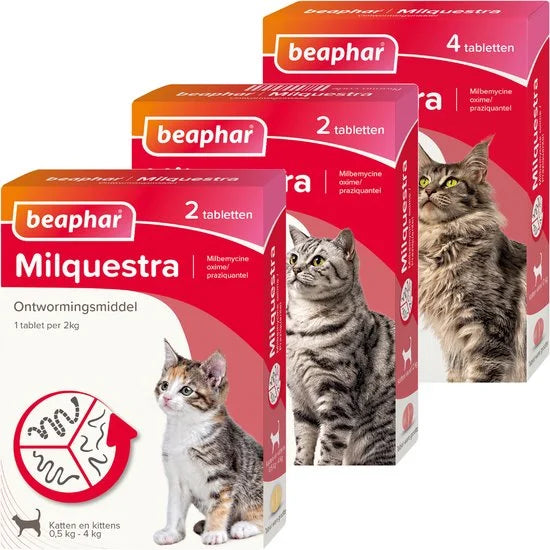 Beaphar Milquestra - Kat 2 Tot 12 kg - 2 tabletten