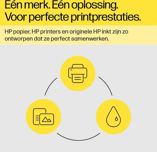 HP 303 - Inktcartridge - Origineel - Zwart