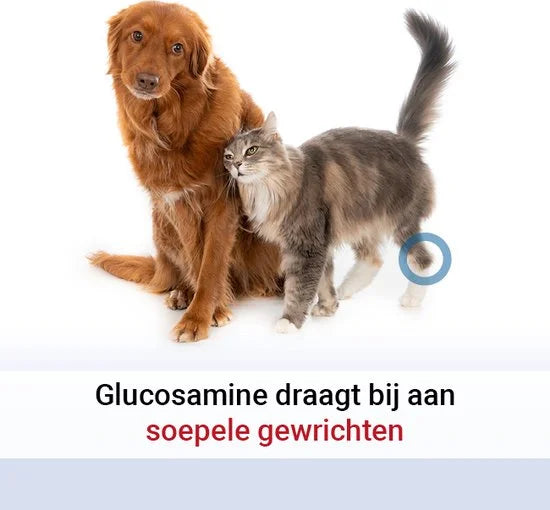 Pharmox Hond & Kat Glucosamine 500 ml - Belangrijke bouwsteen voor honden en katten