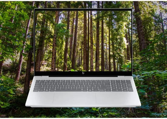 HP BL1X8EA#UUG laptop